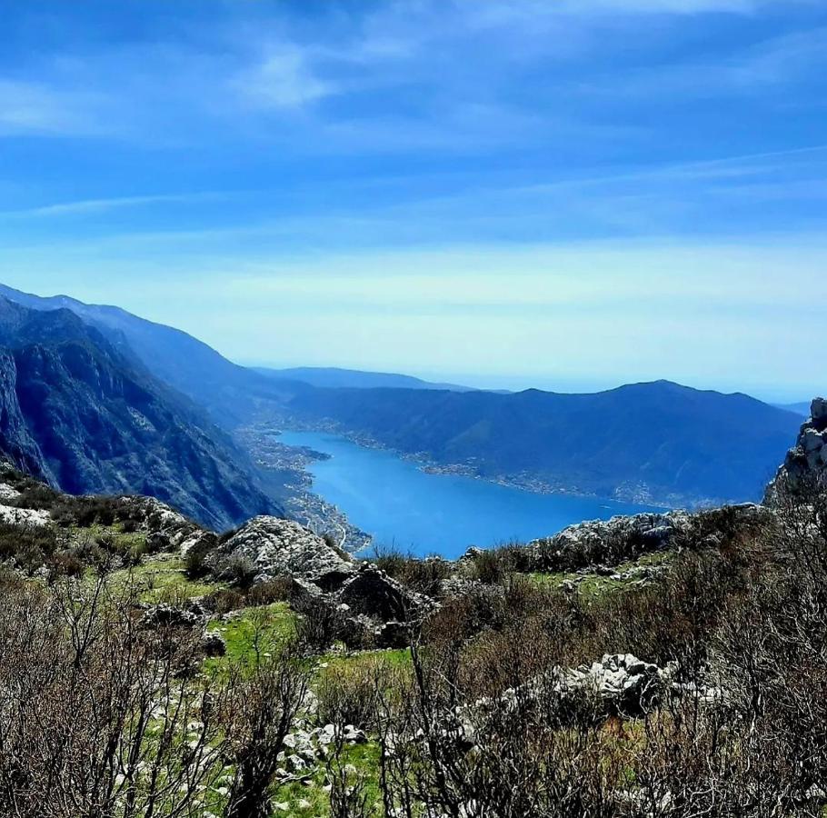 Apartments Pejanovic Kotor Zewnętrze zdjęcie