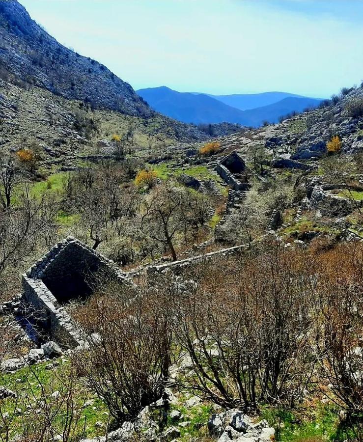 Apartments Pejanovic Kotor Zewnętrze zdjęcie