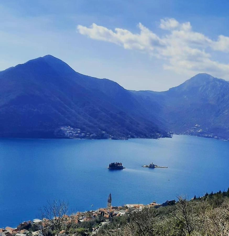 Apartments Pejanovic Kotor Zewnętrze zdjęcie