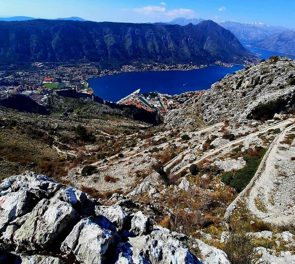 Apartments Pejanovic Kotor Zewnętrze zdjęcie