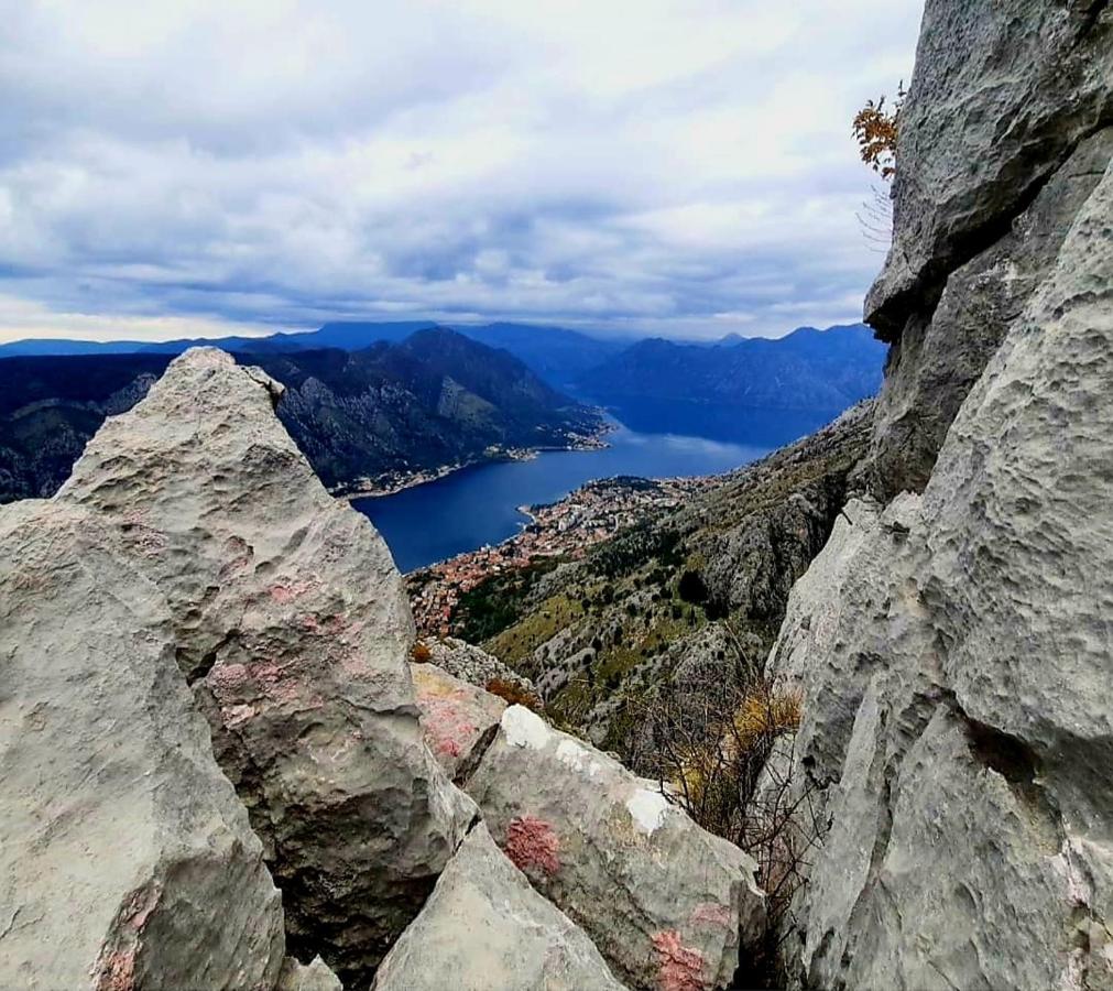 Apartments Pejanovic Kotor Zewnętrze zdjęcie