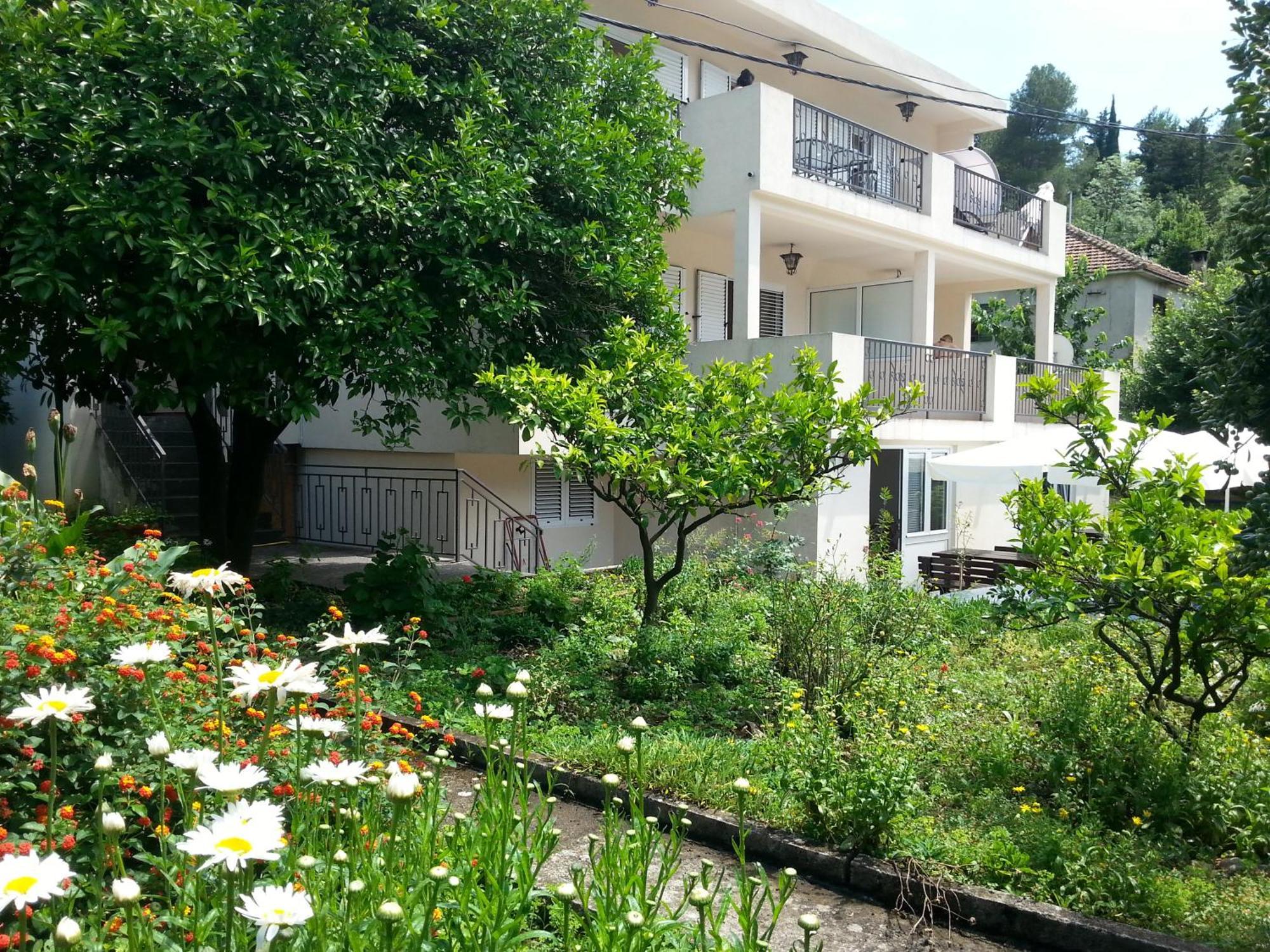 Apartments Pejanovic Kotor Zewnętrze zdjęcie
